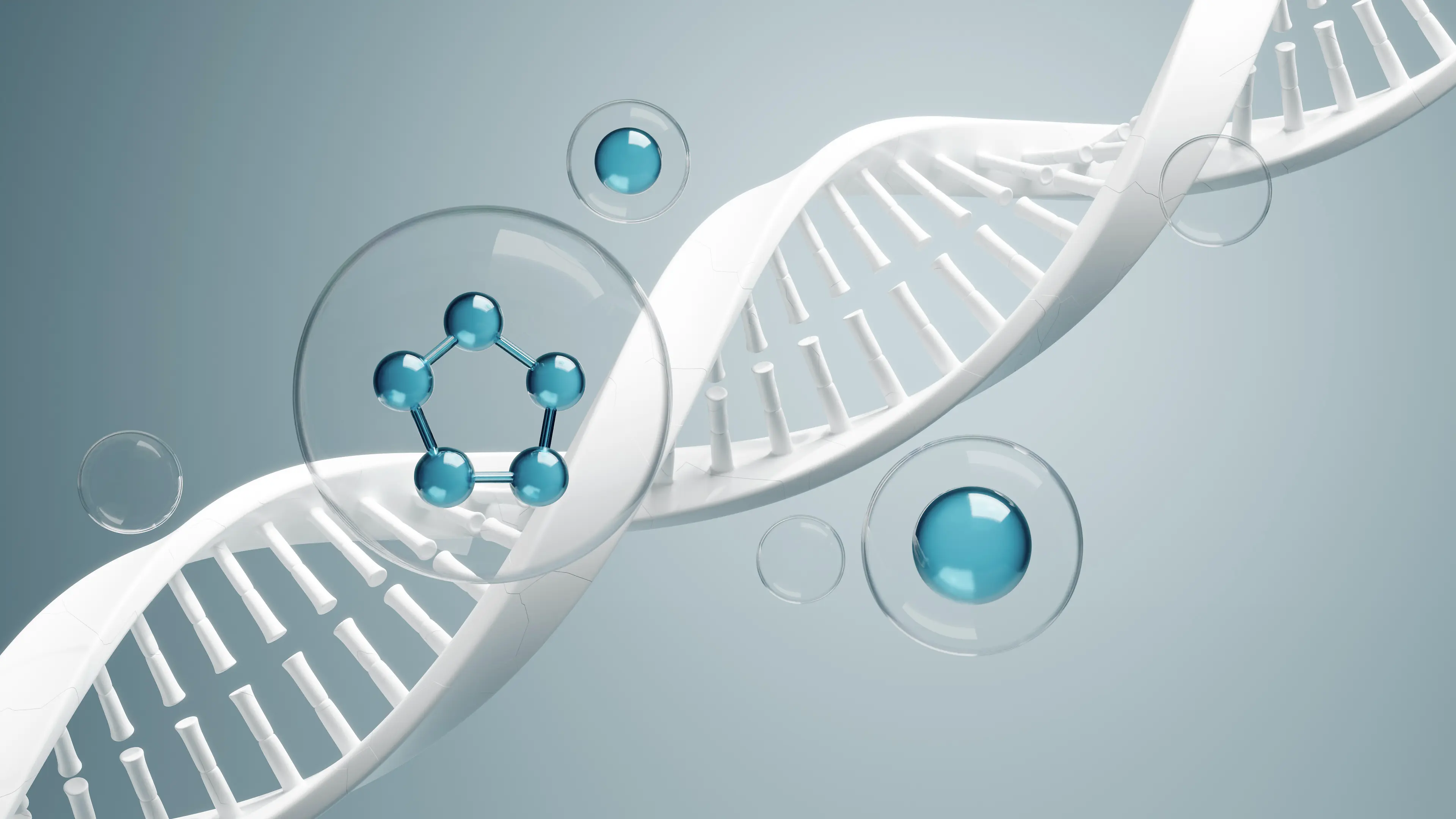 Polynucleotide (PN) คืออะไร?