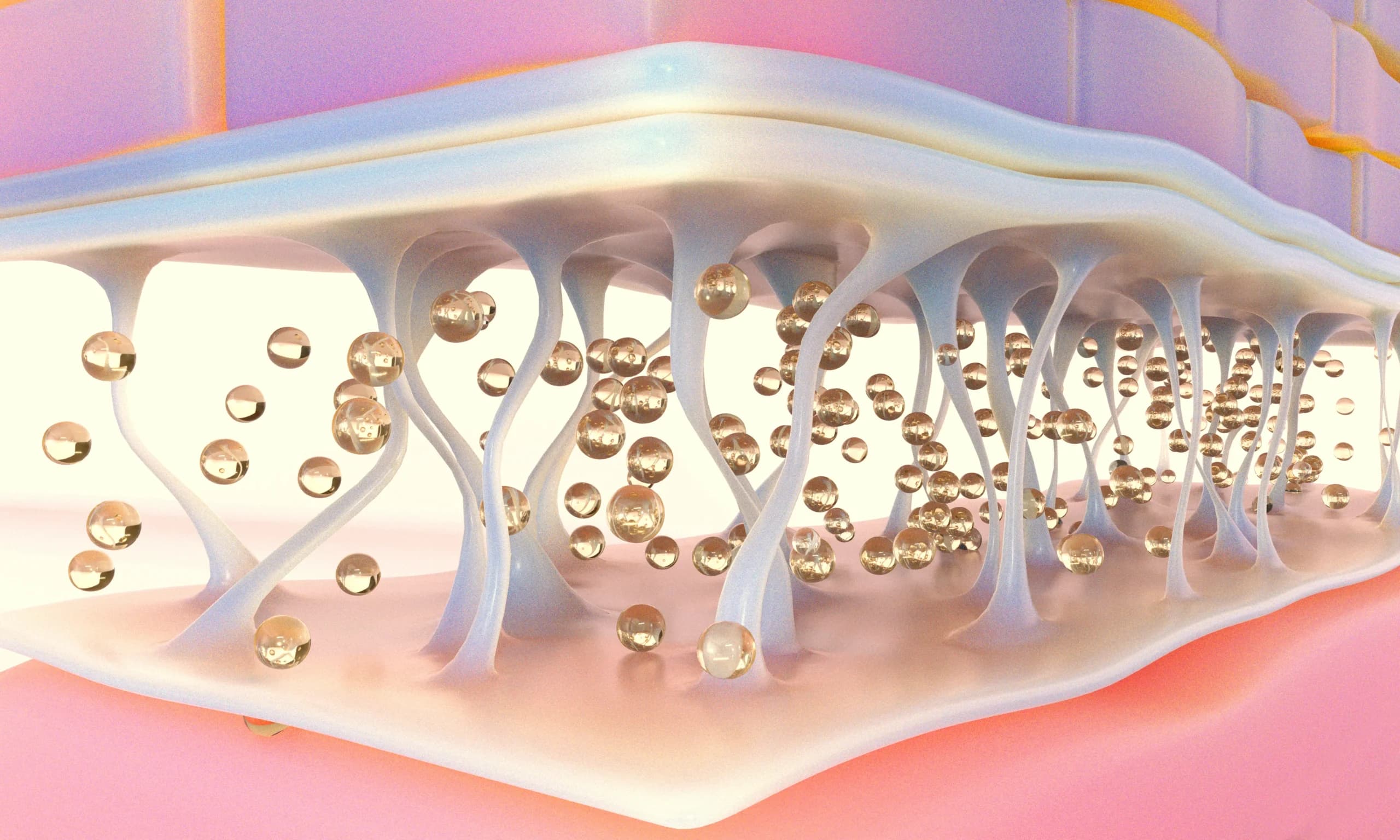 โปรแกรมฟื้นฟูผิวระดับเซลล์ ช่วยเรื่องอะไรบ้าง?